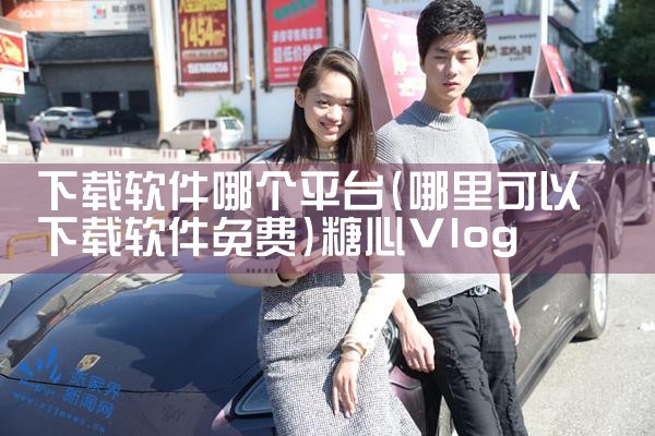 下载软件哪个平台|糖心Vlog入口