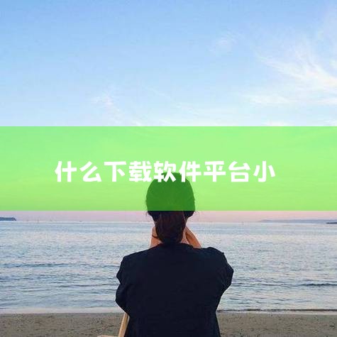 一、综合性下载网站 百度：作为全球最大的中文搜索引擎之一，百度不仅提供搜索服务，还拥有丰富的应用软件下载资源。用户可以通过百度搜索相关关键词，快速找到并下载所需的应用软件。二、专业软件下载博客 ZDF|糖心Vlog入口