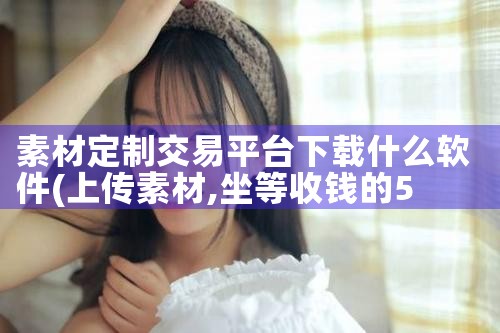 素材定制交易平台下载什么软件