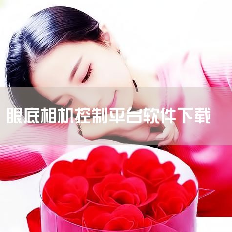 截至2019年末，陈有信主任领导的团队完成眼底数据标注，但因单一第三方测评数据库难进行流程化监测，需第三方测评平台与病种对应的测评标准，直到2020年WAIC大会上，人工智能医疗器械创新合作平台发布多|男娘日记