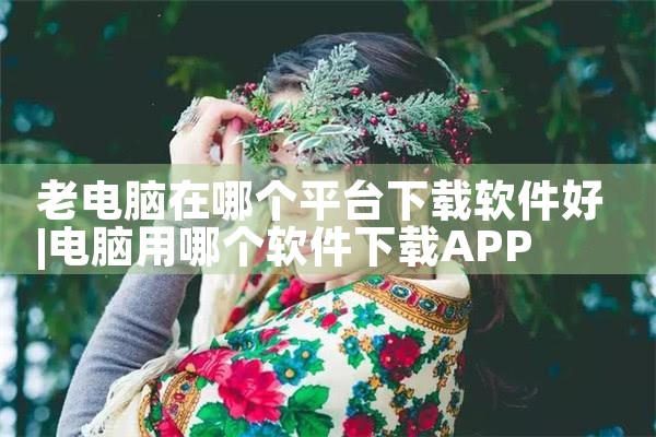 老电脑在哪个平台下载软件好