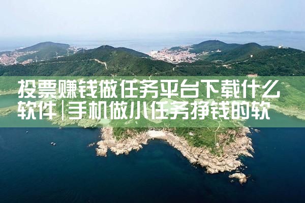 投票赚钱做任务平台下载什么软件