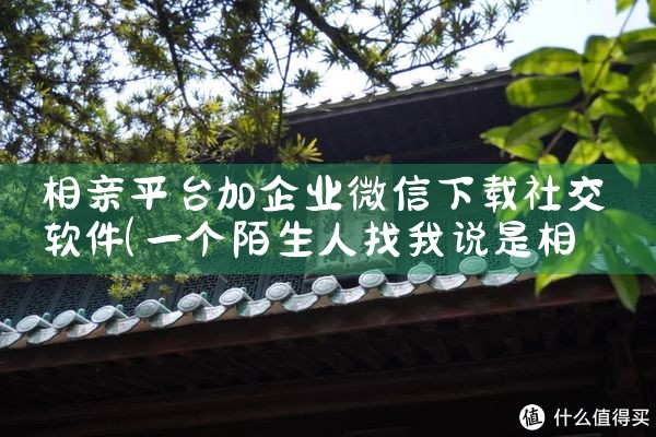 哪个平台下载破解软件好|糖心Vlog入口