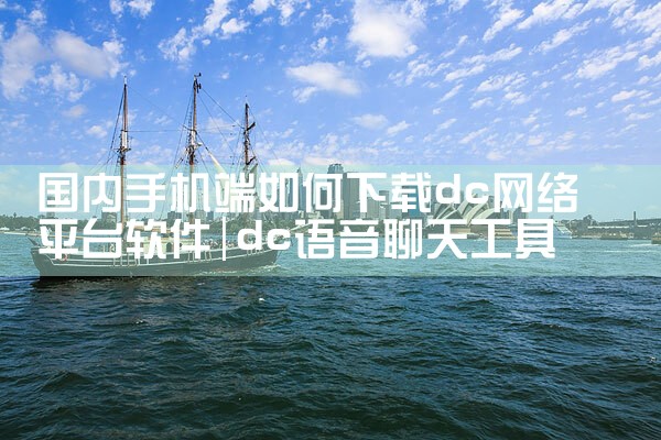 国内手机端如何下载dc网络平台软件