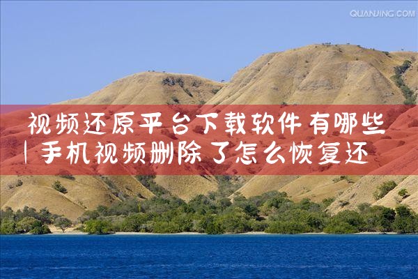 视频还原平台下载软件有哪些
