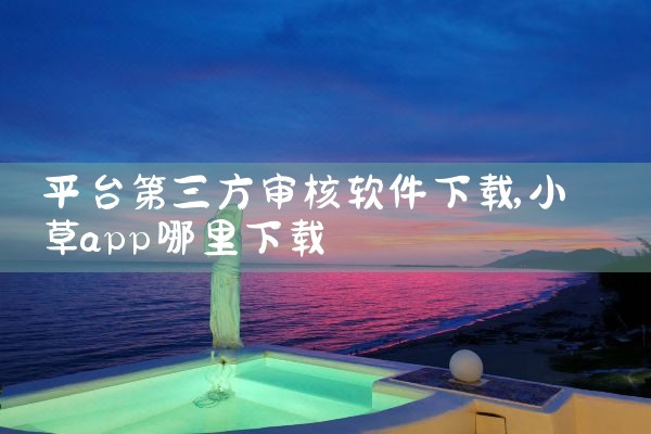 平台第三方审核软件下载