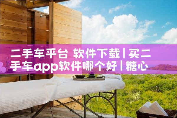 二手车平台 软件下载|糖心Vlog入口