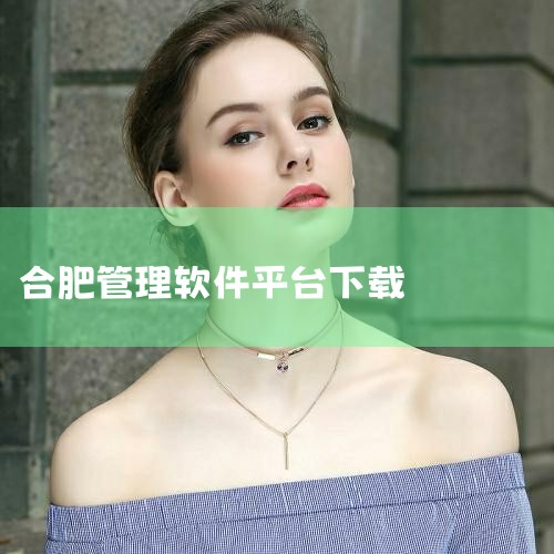 合肥明信软件技术有限公司是依托合肥工业大学和合肥超亚软件技术研究所成立的一家高科技企业，位于合肥市高新技术产业开发区。主要从事煤矿辅助设计、绘图，网络办公与企业管理等软件的研发。现有各类工程技术人员3|糖心Vlog入口