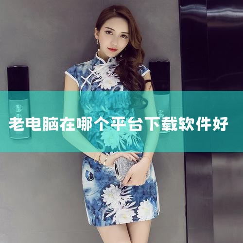 4、微软应用商店微软应用商店是一个全面、安全、便捷的软件商店，提供了丰富的应用程序，可以直接安装到电脑上，非常方便。用户可以在这里下载到各种正版的软件资源，并进行分类选择和查看用户评价。5、华为应用市,