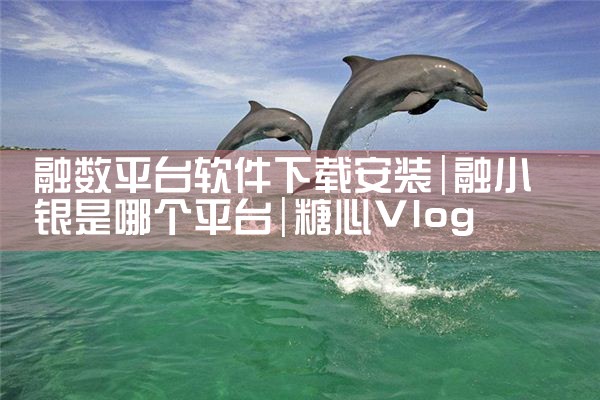 融数平台软件下载安装|糖心Vlog入口