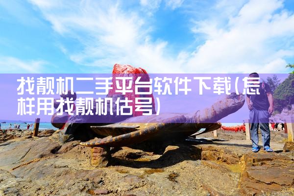找靓机二手平台软件下载