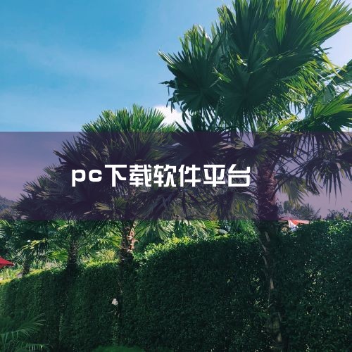 哪里有免费的软件下载网站?,有什么PC下载软件可以代替迅雷?,糖心Vlog入口